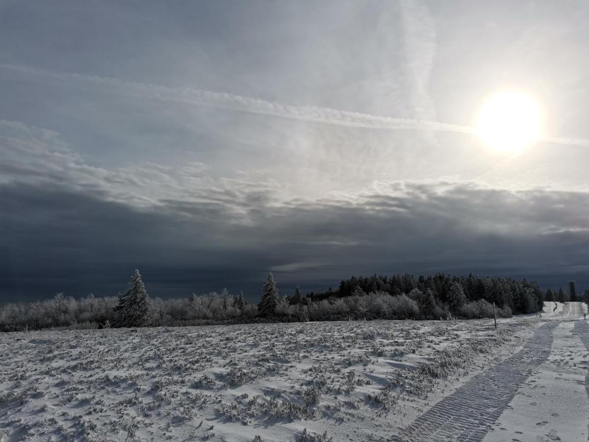 Gite Du Cerf Birkenwald ภายนอก รูปภาพ