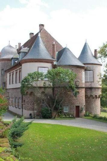 Gite Du Cerf Birkenwald ภายนอก รูปภาพ