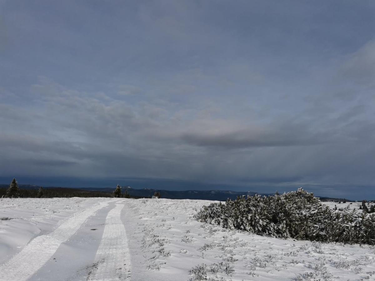 Gite Du Cerf Birkenwald ภายนอก รูปภาพ