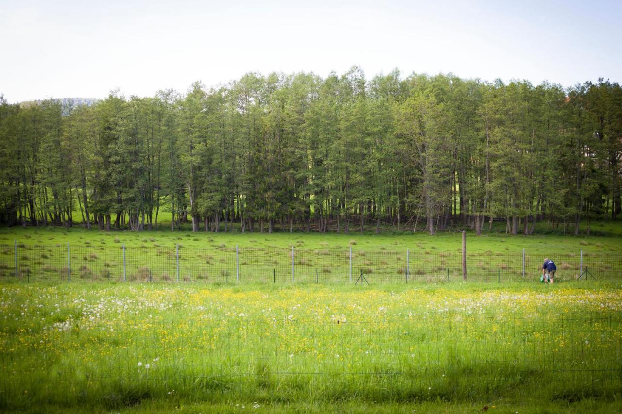 Gite Du Cerf Birkenwald ภายนอก รูปภาพ