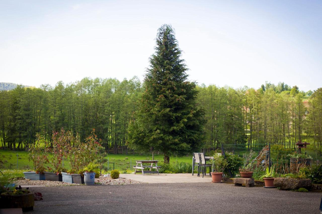 Gite Du Cerf Birkenwald ภายนอก รูปภาพ